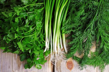 Tahta yüzeyde taze bitkiler. Maydanoz, dereotu, yeşil soğan.