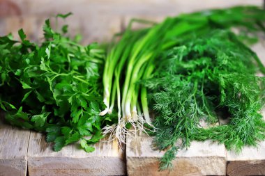 Ahşap yüzeyde taze yeşillikler. Dill, maydanoz, yeşil soğan. Sağlıklı yemek hazırlamak için yeşil otlar..