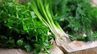 Tahta yüzeyde taze bitkiler. Maydanoz, dereotu, yeşil soğan.