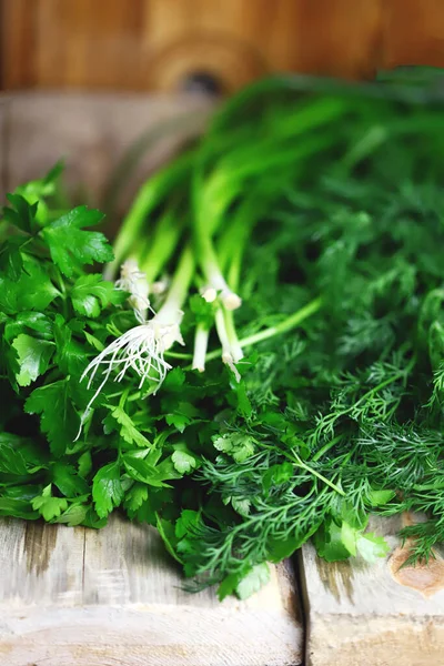 Tahta yüzeyde taze bitkiler. Maydanoz, dereotu, yeşil soğan.