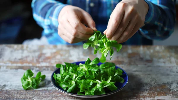 Salad Segar Tumbuk Tangan Pria Makanan Vegetarian Konsep Diet — Stok Foto