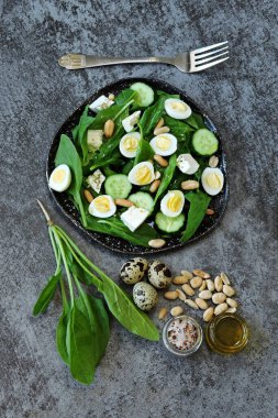 Ispanaklı salata, bıldırcın yumurtası ve fıstık. Keto Salatası. Sağlıklı beslenme.