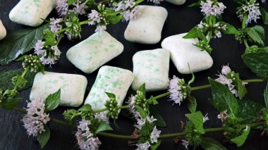 Nane sakızı, nane yaprağı. Oral sağlık kavramı.