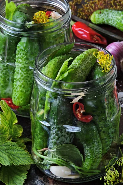 Cooking Pickled Cucumbers Pickling Cucumbers Cucumbers Jars Spices Salt Herbs — Stock Photo, Image