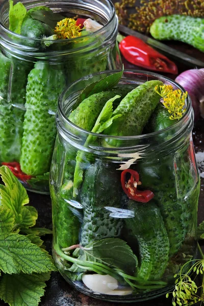 Cooking pickled cucumbers. Pickling cucumbers. Cucumbers in jars, spices, salt and herbs.