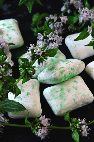 Chewing gum pads and mint leaves with flowers. Refreshing mint concept.
