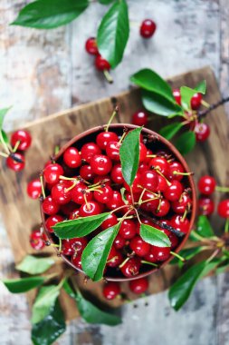 Kasede yaprakları olan kırmızı kirazlar. Kiraz toplayın. Kırmızı Kirazlar.