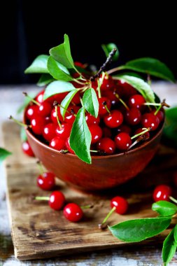 Kasede yaprakları olan kırmızı kirazlar. Kiraz toplayın. Kırmızı Kirazlar.