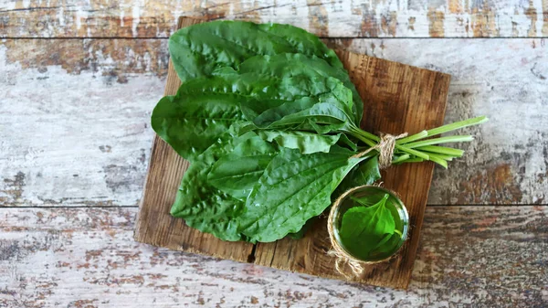 Tanaman Daun Minum Daun Pisang Segar Minuman Batuk Yang Sehat — Stok Foto