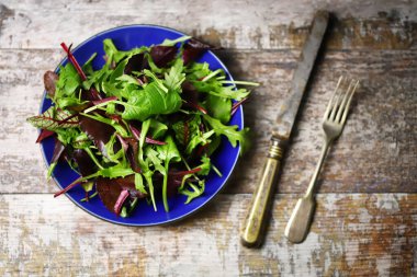 Mavi tabakta taze salata karışımı. Diyet konsepti. Sağlıklı beslenme kuralları.