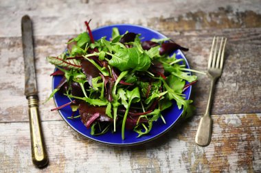 Mavi tabakta taze salata karışımı. Diyet konsepti. Sağlıklı beslenme kuralları.