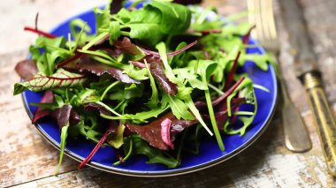 Mavi tabakta taze salata karışımı. Diyet konsepti. Sağlıklı beslenme kuralları.