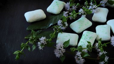 Koyu bir arka planda sakız ve nane yaprakları çiğnemek. Organik sakız..