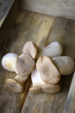  Ahşap bir yüzeyde çiğ eringi mantarı..