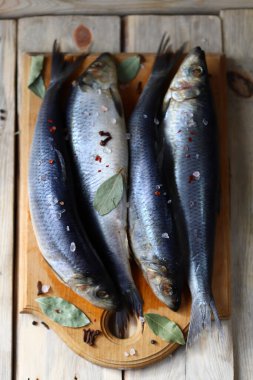 Baharatlı taze tuzlanmış ringa balığı. Norveç ringası..