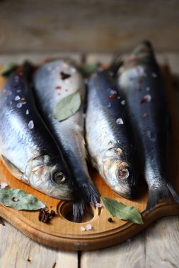 Baharatlı taze tuzlanmış ringa balığı. Norveç ringası..