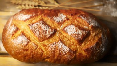 Taze buğday ekmeği. Un ve kulaklar. Sıcak tonlama.