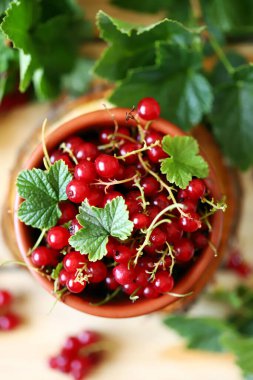Ahşap bir fonda kırmızı frenk üzümü. Frenk üzümü yaprakları. Yaz meyveleri. Frenk üzümü..