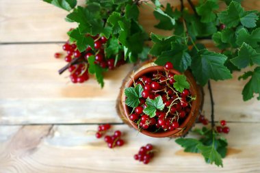 Ahşap bir fonda kırmızı frenk üzümü. Frenk üzümü yaprakları. Yaz meyveleri. Frenk üzümü..