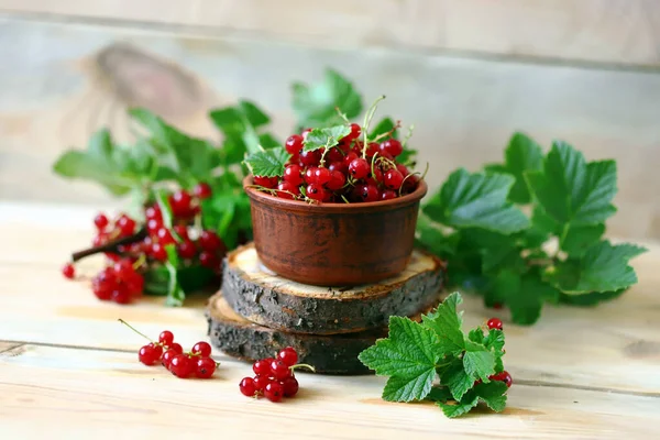 Fresh Red Currants Leaves Wooden Background Red Berries — Stock Photo, Image