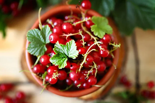 Fresh Red Currants Leaves Wooden Background Red Berries — Stock Photo, Image