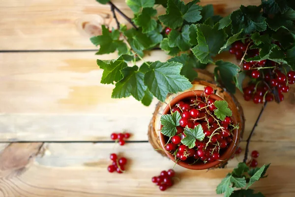Ahşap arka planda yaprakları olan taze kırmızı üzümler. Kırmızı çilek.