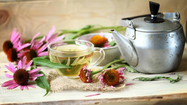 Echinacea Tea Cup Echinacea Flowers Teapot Cup Tea — Stock Photo, Image