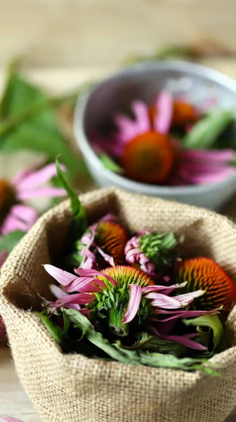 Echinacea Auf Einer Holzoberfläche Echinacea Blüht Heilkraut — Stockfoto