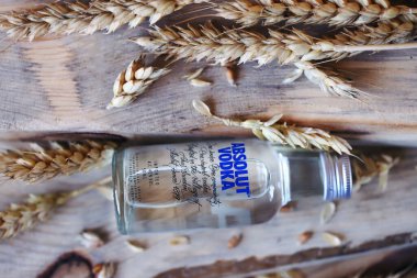 Ahşap arka planda bir şişe Absolut votkası. Buğday kulakları, buğday taneleri. Buğday votkası. Mutlak votka 50 ml. Kharkiv / Ukrayna - 08 23 2020.