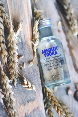Ahşap arka planda bir şişe Absolut votkası. Buğday kulakları, buğday taneleri. Buğday votkası. Mutlak votka 50 ml. Kharkiv / Ukrayna - 08 23 2020.