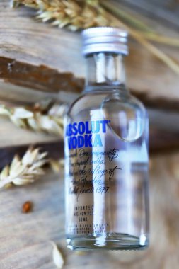 Ahşap arka planda bir şişe Absolut votkası. Buğday kulakları, buğday taneleri. Buğday votkası. Mutlak votka 50 ml. Kharkiv / Ukrayna - 08 23 2020.
