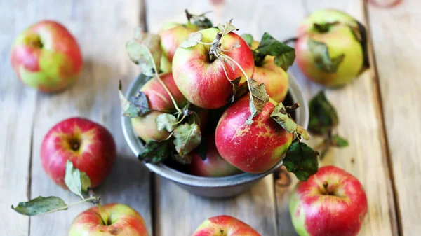 Apples Bowl Harvest Apples — Stock Photo, Image