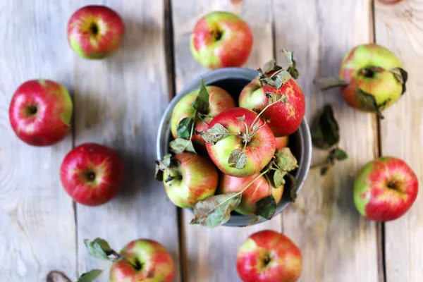 Apples Bowl Harvest Apples — Stock Photo, Image