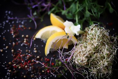 Taş tahtaya baharatlı mikroyeşillikler koyun. Makro.