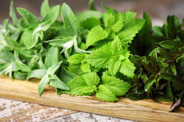 Seçici odaklanma. Makro. Taze nane. Tahta üzerinde farklı nane çeşitleri var. Çay için nane şekeri topluyorum..