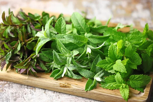 Selective Focus Macro Fresh Mint Different Varieties Mint Wooden Board — Stock fotografie