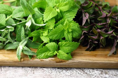 Seçici odaklanma. Tahtada taze nane şekeri..