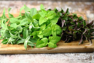 Seçici odaklanma. Tahtada taze nane şekeri..