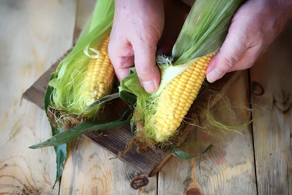 Friss Kukorica Kezekben Kezeket Kukoricáról — Stock Fotó
