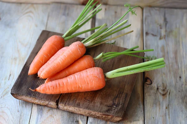 Jonge Biologische Wortel Met Staarten Wortelen Handen — Stockfoto