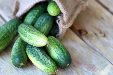 Tahta bir yüzeyde poşette taze salatalıklar. Organik sebzeler. Salatalık hasadı.