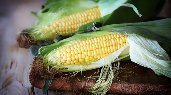 Nyers Kukorica Egy Felületen Kukorica Betakarítása — Stock Fotó