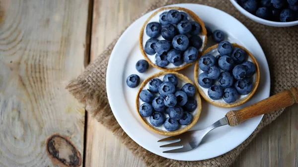 Blueberry Tartlets Plate Healthy Berry Dessert Summer Cooking — Stock Photo, Image