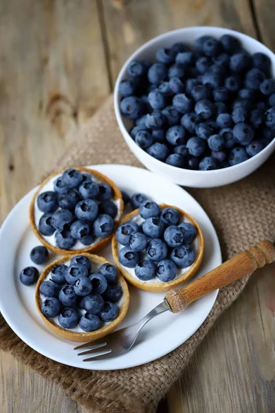 Blueberry Tartlets Plate Healthy Berry Dessert Summer Cooking — Stock Photo, Image