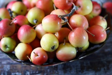 Makro. Cennet elmaları tabakta. Sonbahar elma hasadı.