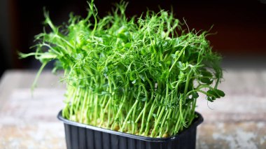 Kavanozda yeşil bezelye