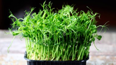 Kavanozda yeşil bezelye