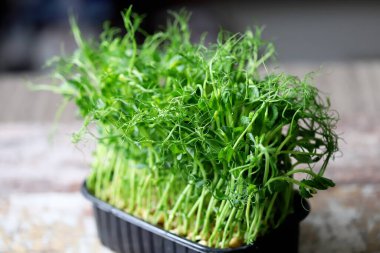 Kavanozda yeşil bezelye