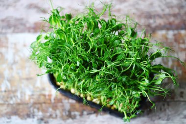 Kavanozda yeşil bezelye