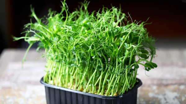 Kavanozda yeşil bezelye